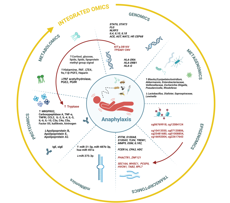 Multi-omski vpogled v razumevanje anafilaksije